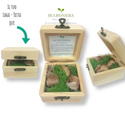 bulboniera scatola bomboniera originale green da personalizzare con bulbi da piantare