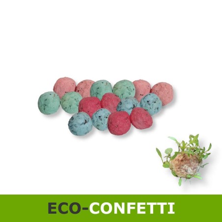 Confetti da piantare in carta piantabile bombe di semi di fiori