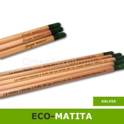 Sprout salvia matita personalizzata per regalo maestre