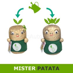 Mister patata idea regalo green da annaffiare