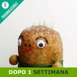 Gioco mister patata dopo una settimana