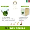 Confezione-scatola regalo pianta aloe e sapone aloe