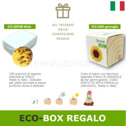 Confezione scatola idea regalo amici di api e farfalle