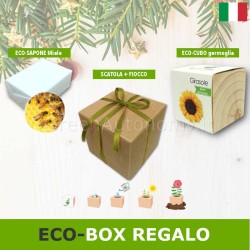 Confezione scatola regalo di natale amici delle api