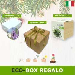 confezione scatola regalo per natale. Sapone lavanda e pianta lavanda