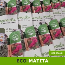 Eco-matita piantabile Sprout garofano personalizzata per nascita