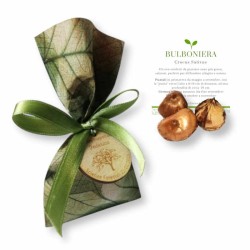 Bulboniera la bomboniera laurea da piantare con tag personalizzabile