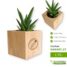 Aloe vera pianta succulenta grassa in vaso da personalizzare per idea regalo bomboniera