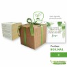 iGreen cube pianta in cubo che germoglia idea regalo maestre B