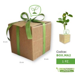 iGreen-cube piante e fiori in cubi in box regalo maestre