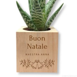 Idea regalo maestre per natale con pianta grassa e vaso personalizzabile