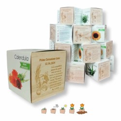 Kit 25 eco-cubi piantabili per bomboniere battesimo