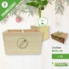 Box regalo natale portapenne-organizer e vaso con semi di piante in cofanetto regalo