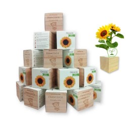 kit 25 eco-cubi bomboniere utili, originali per battesimo, matrimonio