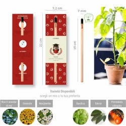 bomboniera matita piantabile e segnalibro per laurea con gufo