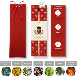 Bomboniera laurea con gufo in confezione regalo con fiocco rosso e matita piantabile