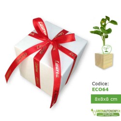 confezione bomboniera laurea originale