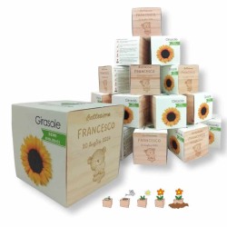 Kit 50 eco-cubi da personalizzare per bomboniera laurea