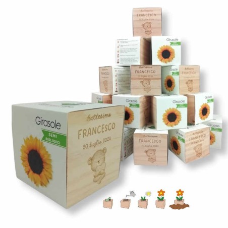 Kit 50 eco-cubi da personalizzare per bomboniera laurea