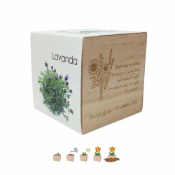 Kit 50 eco-cubi da personalizzare per bomboniere originali da piantare