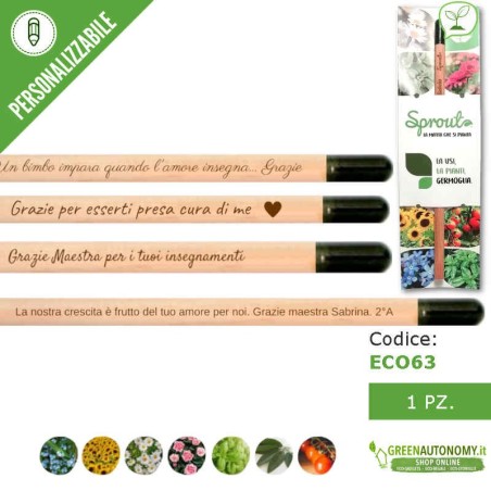 Sprout matita che si pianta per regalo maestra fine scuola