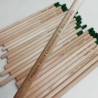 Kit 100 matite da piantare sprout personalizzate per bomboniere green