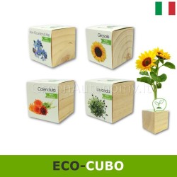 Eco-cubi Green idea regalo ecologica per lui lei da piantare