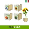 Eco-cubi Green idea regalo ecologica per lui lei da piantare