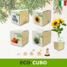Eco-cubi Green idea regalo ecologica di natale da piantare