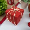 confezione regalo rossa per laurea-natale per cubo igreen cube