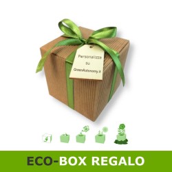 Pianta in cubo - confezione regalo con fiocco e tag da personalizzare