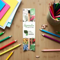 Matita Piantabile Back to School idea green per inizio scuola